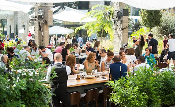 The Backyard, campaigns: image 1 of 4